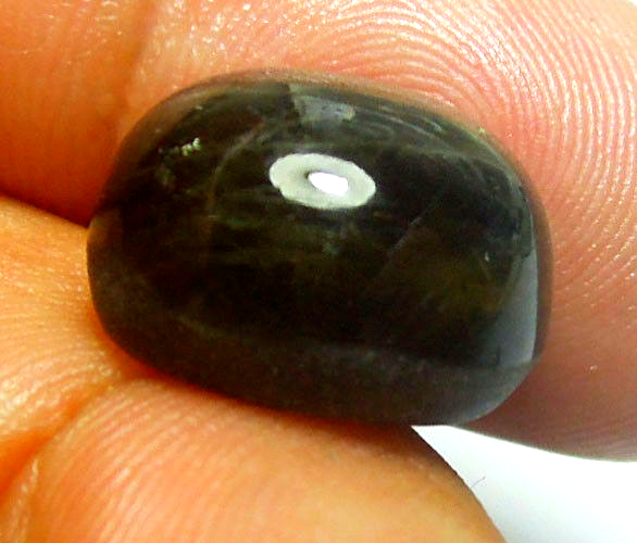 GEMSTONE CAT EYE SAPPHIRE GEMS 21.80 CT HARDNESS GOLDEN BLACK STUNNING