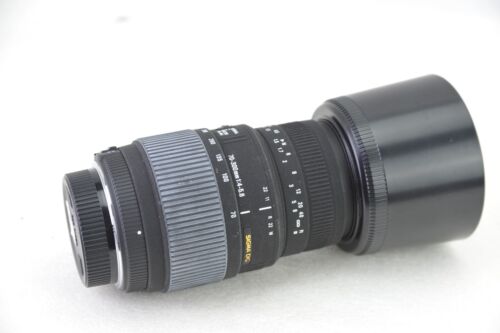 für Nikon AF, Sigma 70-300mm f/4-5.6 DG, FX, built-in AF-Motor - Bild 1 von 4
