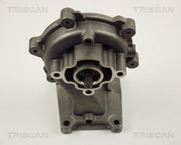 Triscan Wasserpumpe MotorküHlung 8600 16019 FüR Ford Transit Mondeo 3 B4Y BWY 1