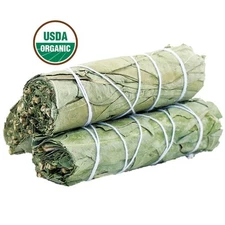 Eucalyptus Smudge Sticks (Pack of 3) House Cleansing, Energy Cleanse