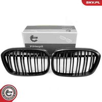 Esen SKV KüHlergrill KüHlergitter Carbon Passend FüR BMW X1 F48 Van