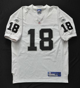 authentic raiders jersey