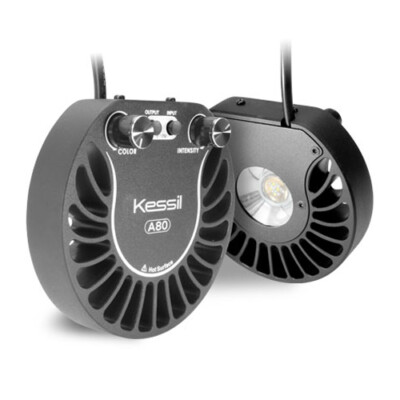 Kessil A80 Tuna Blue LEDライト Buy Kessil A80 Tuna Blue 15 W LED Aquarium Light - KSA80-TB online