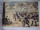 Foto 4 di 4