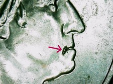  on The Hot Collector