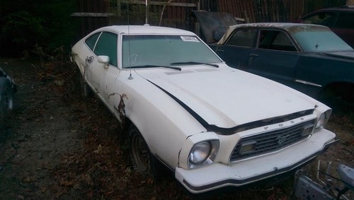 Borde de cuarto de ventana para conductor para Ford Mustang Fastback 1975 - Imagen 10 de 12