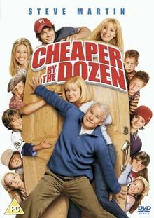 Cheaper By The Dozen [2004] [DVD] von Shawn Levy | DVD | Zustand gut