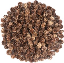 240PCS Natural Pine Cones – Small Pinecones for Christmas Décor & Crafts