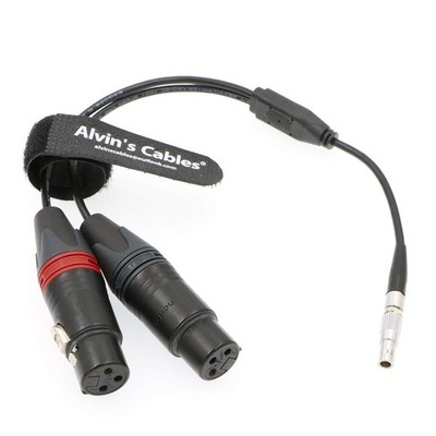 US-Based 5 Pin Male to Two XLR 3 Pin Female Audio Input Cable for Z CAM E2 25cm