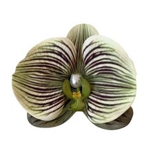 Back Of The Head Clip Gathering Hair Clips Reliable Material Hair Clip