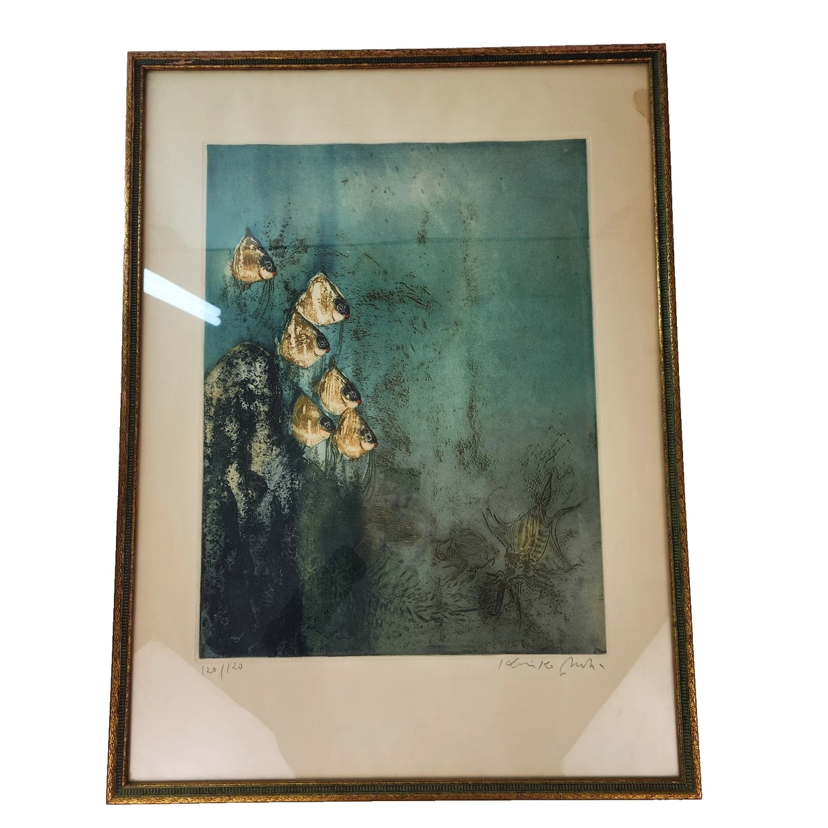 Kaiko Moti for sale | eBay