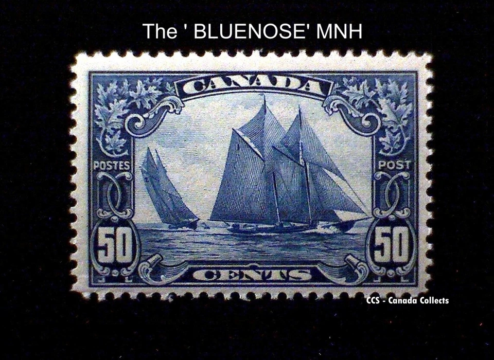 El *BLUENOSE* Canada Scott #158 COMO NUEVO NUNCA ARTICULADO - Sello más famoso de Canadá Foto 2 de 3