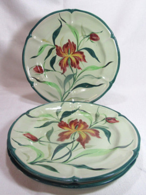 Amalfi Italy AFX3 Three (3) Hand Painted Green Floral Terra Cotta Dinner Plates