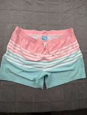 Chubbies The On The Horizons 5.5 inch Lined Classic Stretch Swim Trunks