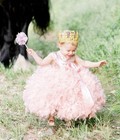 Toddler Custom Princess Dress