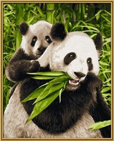 Malen Nach Zahlen PandabÄRen Panda Schipper 609240712 Komplettset 24 X 30Cm