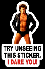 Funny "TRY UNSEEING THIS STICKER. I DARE YOU" weird sexy DECAL bumper sticker
