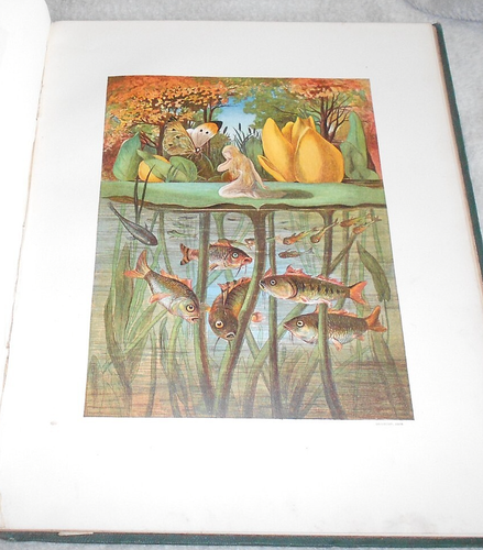 MÄRCHEN. HANS CHRISTIAN ANDERSEN. 1872. 12 FARBILLUSTRATIONEN von E.V.B. - Bild 12 von 15