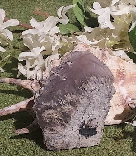 Plume Agate Carved Gemstone Slice 54g (C2) - Picture 1 of 3