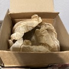 Foto 10 di 19