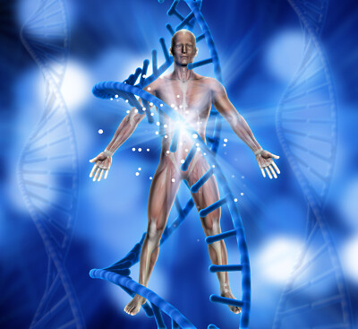Mitochondria Shakti DNA Aktivierung - MITOCONDRIA SHAKTI DNA ACTIVATION - FW 