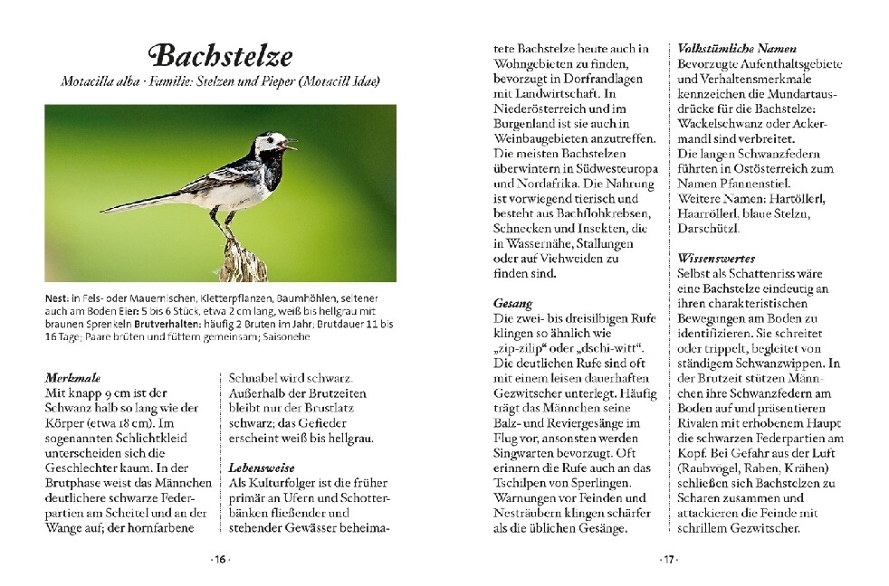 Thumbnail - Das Kleine Buch: Singvögel | Heimische Arten Und Wo Sie Zu Finden