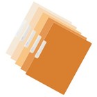 Bild 11 von 12