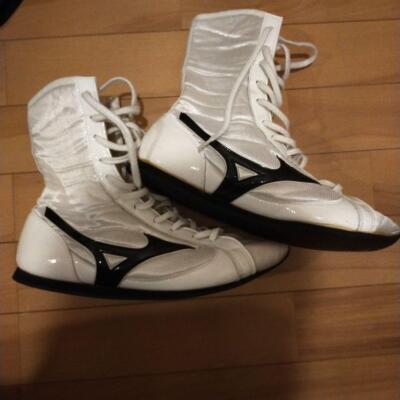 MIZUNO Boxing Shoes White Black Line Finisher MID 21GA2310