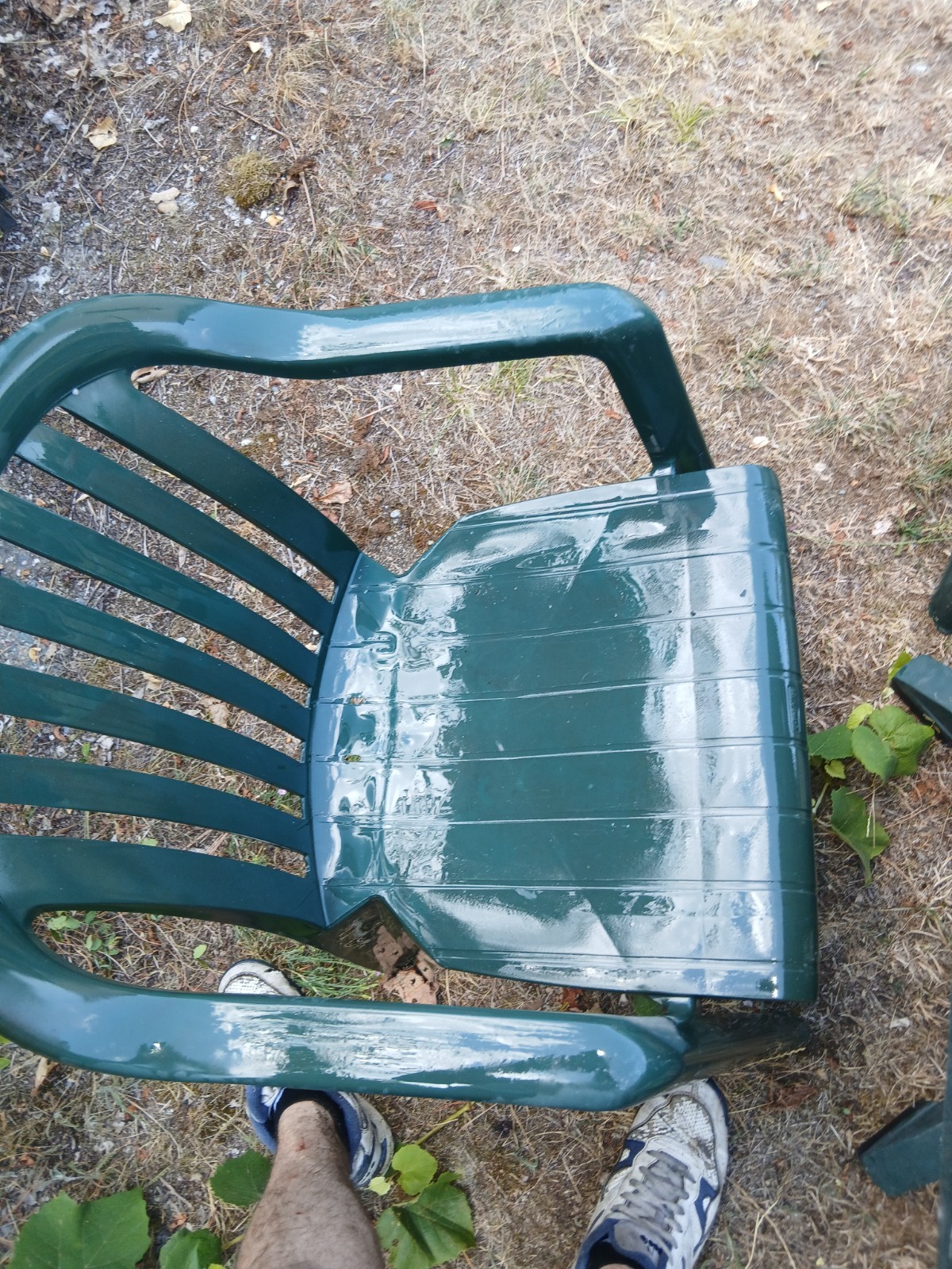 Ipae-Progarden Piona Sedia di Plastica per Esterno - Verde