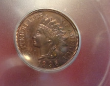  on The Hot Collector