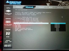 Ryzen 5 3350G & Biostar Am4 motherboard