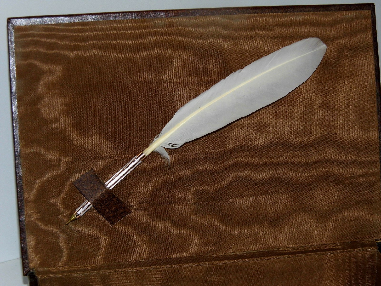 Picture 5 of 7