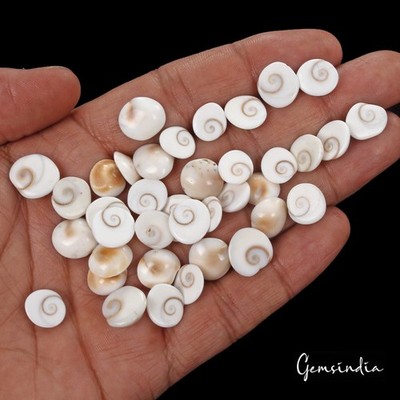 120 Cts/39 Pcs Natural Untreated Gomti Chakra Round Cab Loose Gems For Jewelry