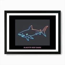 Neon Pink Blacktip Reef Shark Poste Framed Wall Art Poster Canvas Print Picture