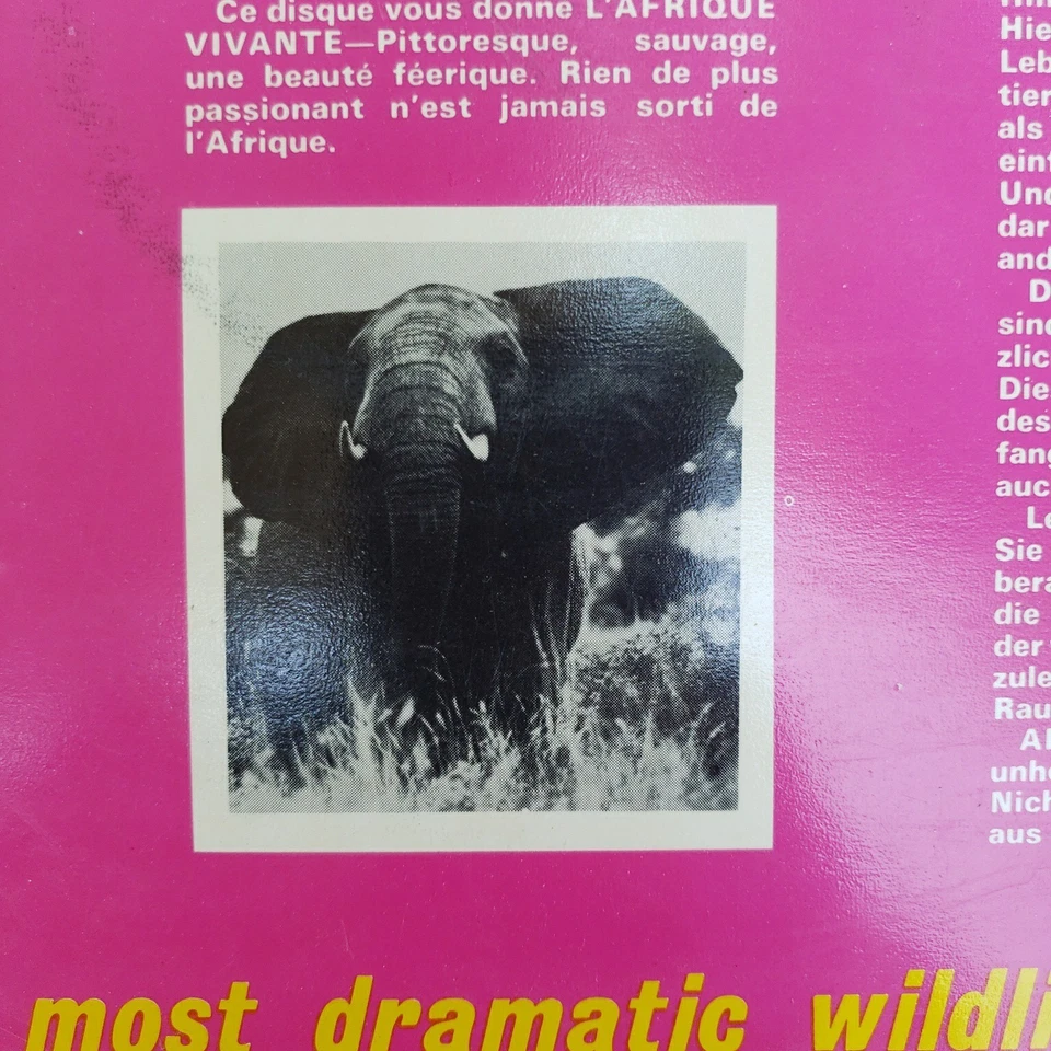 African Natural Sounds Vinyl LP Wild Africa Sounds From The African Bushlands - Image 4 of 4