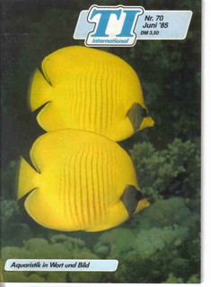 Revista Internacional Acuarios TI Nº 70 de 06/1985 Otocinclus Cryptocoryn