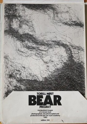 Bear Project. manipulated Images of a brown Bear. Photographed, dry-photocopied 