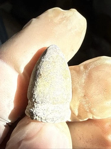 Dug Civil War 💥 🇺🇸 💣 Smith Carbine Bullet