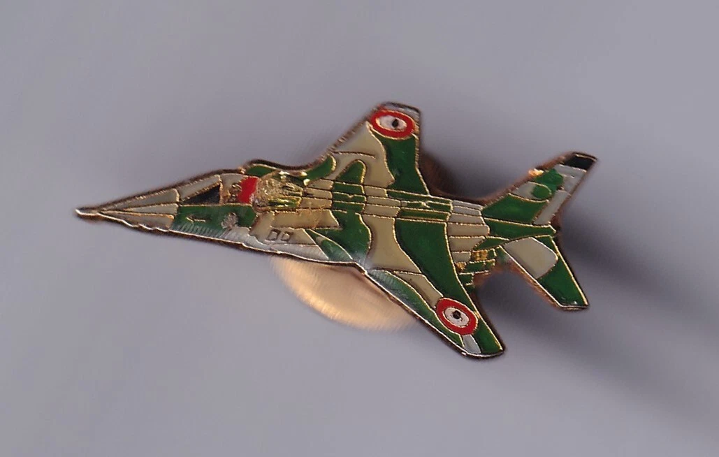 Lot De Pins Militaires Anciens – Collection à Identifier – Armée Américaine