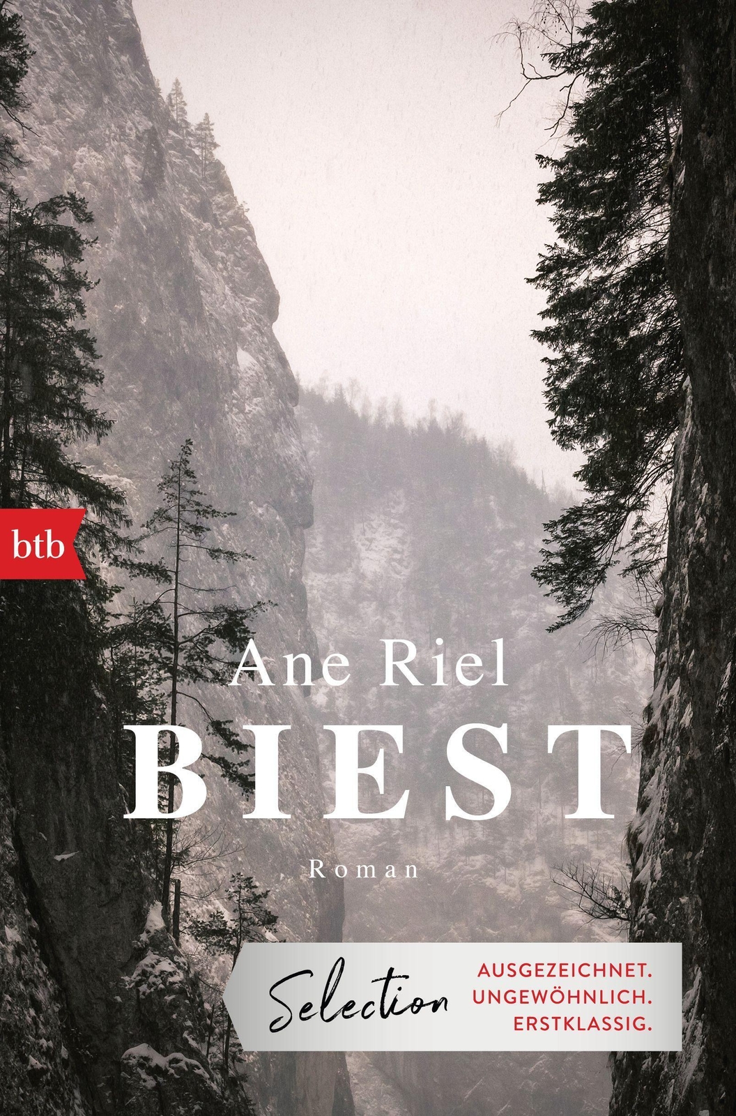 Thumbnail - Biest | Ane Riel | Roman | Taschenbuch | 528 S. | Deutsch | 2022 | Btb