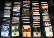 200 MTG BASIC LAND MAGIC THE GATHERING CARDS COLLECTION