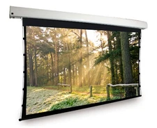 Dragonfly™ Motorized Tab Tension 16:9 High Contrast Projection Screen