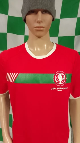 Northern Ireland (EURO 2016) International Football Jersey Shirt (Adult Large)