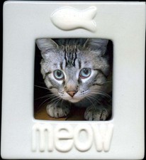 Cornice porcellana vetro bianco per fotografia gattino intitolata Meow 6,5 x 7