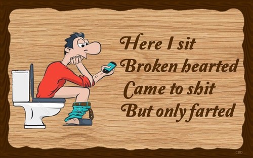 (Here I Sit) sign plaque gift bathroom toilet outhouse restroom farted pooped