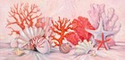 Ceramic Backsplash Tile Mural Sea Shell Themed - Coral Still Life Border