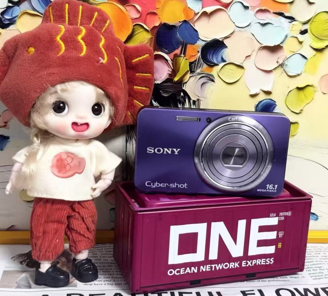 Sony Cyber-shot DSC-W570 16MP 5x Zoom Digital Camera with Flash