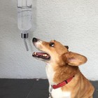 Bild 11 von 11