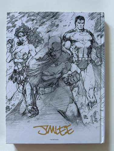DC Comics: L'ARTE DI JIM LEE Volume 1: 2020 DC Comics copertina rigida - Foto 14 di 16