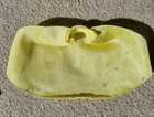 Bild 19 von 20